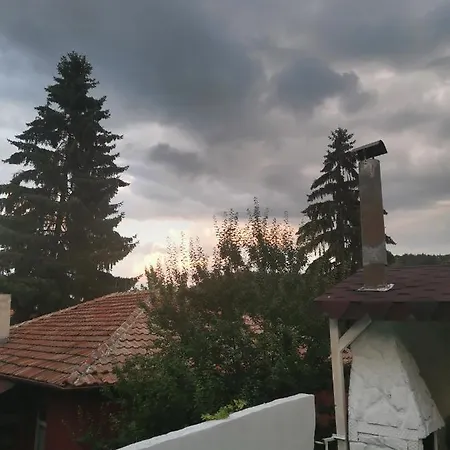 Ena Velingrad