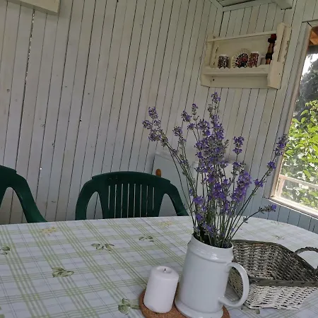 Ena Guest house *